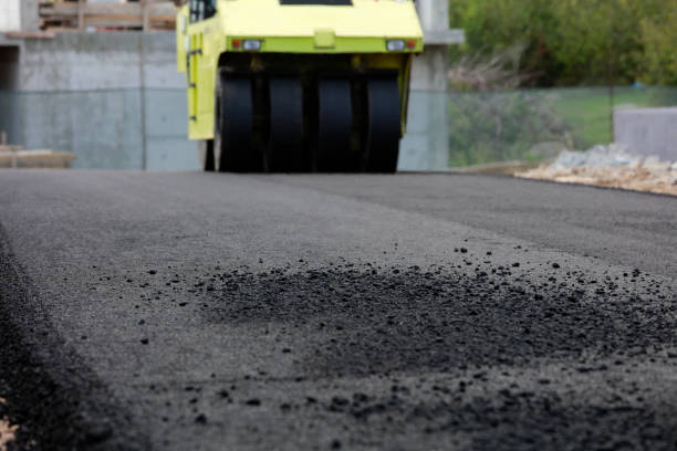 Best Local Driveway Pavers  in Oyster Creek, TX