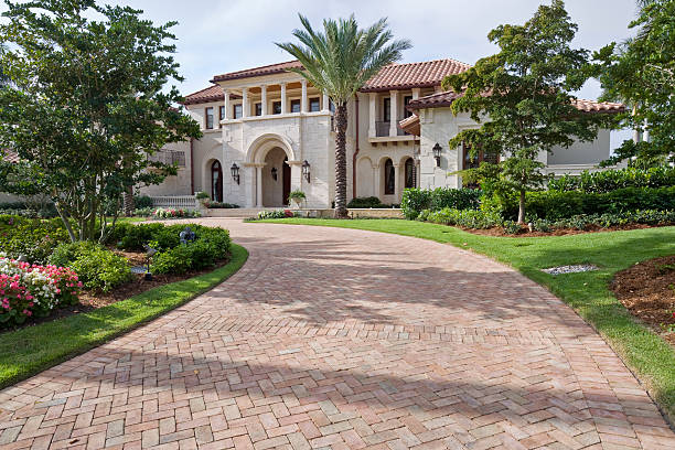 Best Driveway Paving Near Me  in Oyster Creek, TX