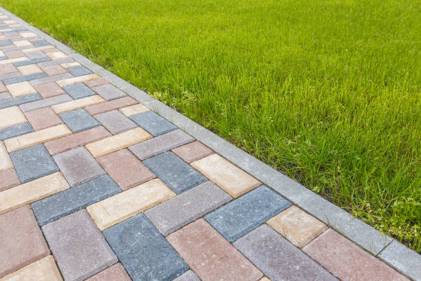 Best Driveway Paving Contractor  in Oyster Creek, TX